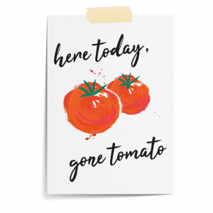 Here Today Gone Tomato Funny Kitchen Art | Vegetable Pun | A3 Print Only