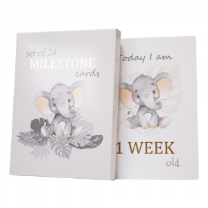 Cute Unisex Baby Elephant Grey Quirky and Fun Set of 24 Milestone Cards